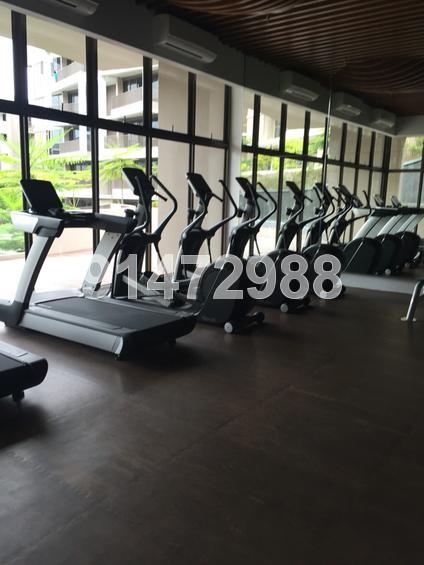 Archipelago (D16), Condominium #102248232